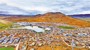 访山南市措美县哲古镇产业强镇之路：草原唱响新牧歌