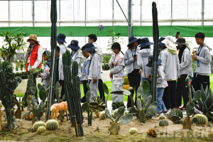 “多维度对话拉萨”：以研学解锁拉萨历史文化文明密码