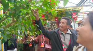 西藏林芝波密县基层干部赴京西稻保护性种植区考察  学习现代农业与文旅融合发展经验