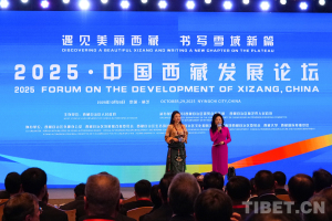 2025·中国西藏发展论坛在西藏林芝开幕