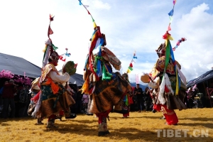 “桃花秘境”的邀约——2026年林芝第二十三届桃花旅游文化节开幕