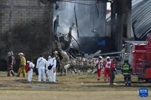 墨西哥一小飞机坠毁多人死亡 导致至少7人死亡