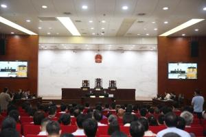 因一件小事杭州副市长坐上被告席 200余各部门负责人旁听