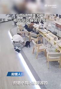 男店员将误入店内小狗摔死 只因女店员说想吃狗肉火锅