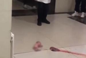 医院大厅现带胎盘婴儿吓傻众人！医院回应婴儿被遗留大厅 事情是这样的…