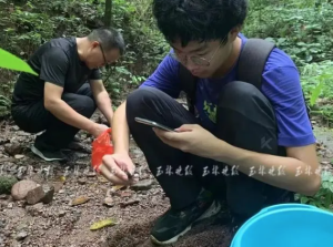广西一17岁少年发现华石蟹新物种 从小爱摸鱼捉虾