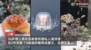 上海一小伙在自家厕所里建海洋馆隐居6年，还把2个蟹钳8条腿全断的螃蟹养成了蟹王