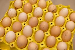 鸡蛋上最脏的东西你可能吃了 需要警惕的沙门氏菌