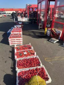 草莓价格腰斩了，即使受降雪影响又涨了几块钱但也比年前要便宜一半