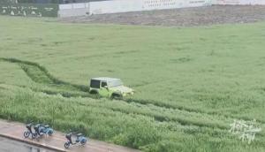 越野车肆意碾压麦田司机称不识麦子 网友：有这么整齐长着穗子的野草吗？