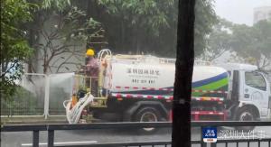 深圳龙华城管回应“暴雨天浇花” 桥底植物难淋雨，保成活率