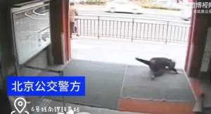 北京老太一脚摔出地铁站口吓坏武警小哥