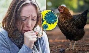 美国多地暴发禽流感 周年庆活动取消