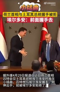 荷兰首相与土耳其总统握手被拒 埃尔多安：要去桌子前面握