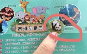 泰州动物园回应松狮犬假扮熊猫：是为了弥补园内动物种类的不足