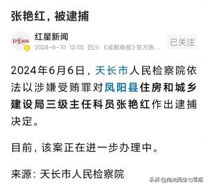 天长一住建局科员张艳红被逮捕 公众号曝新进展