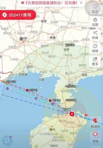 海南农业损失119亿 灾后重建与保险理赔加速进行