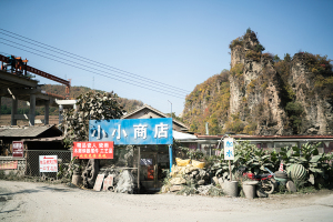 东北雨姐将猫狗遗留在拍摄基地 动物仍受照料