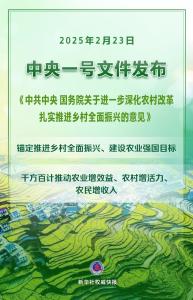 2025年中央一號文件發(fā)布 深化農(nóng)村改革推進鄉(xiāng)村振興