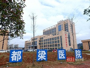 醫(yī)院被舉報代孕后又涉嫌重操舊業(yè) 官方介入假出生證編號被上傳衛(wèi)健系統(tǒng)