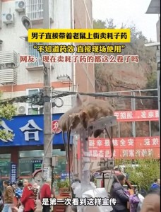 大叔派出全家動物抓老鼠 創(chuàng)意營銷引爭議