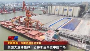 美国大豆可能将永远失去中国市场 巴西或成最大赢家