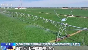 努力奪取夏糧豐收,！手機一鍵操作冬小麥就能喝飽水
