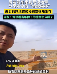 好想看當年種下的植物怎么樣了 網(wǎng)友分享“螞蟻森林”現(xiàn)狀