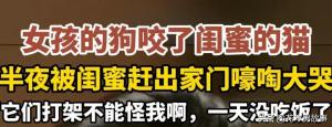 女孩因貓狗大戰(zhàn)深夜被趕出家門(mén) 塑料閨蜜情引發(fā)熱議