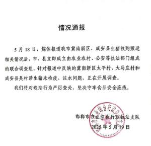 邯鄲回應(yīng)生豬疑注水及未檢疫 官方發(fā)布情況通報