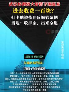 武漢一網(wǎng)紅大橋下被圍起來(lái)收費(fèi) 橋下空間商業(yè)化引爭(zhēng)議