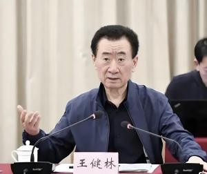 王健林為何加快拋售資產(chǎn) 財務危機下的斷臂求生