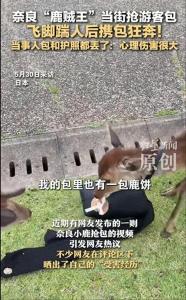 日本奈良小鹿當(dāng)街搶中國游客包 意外引發(fā)網(wǎng)絡(luò)熱議
