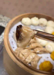 女子在長沙一桔子酒店吃出蒸熟蟑螂 早餐驚現(xiàn)異物
