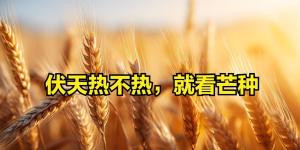 兩六月有多熱，就看芒種：老習(xí)俗與天氣玄機(jī)