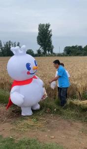 河南多地蜜雪冰城推出麥田配送 “雪王”卷到田間地頭