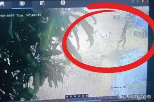 印度八旬老婦遭侵犯拖行致死 性別暴力頑疾再現(xiàn)