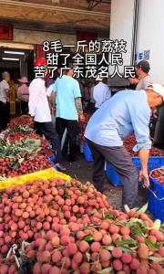 官方談農(nóng)戶因荔枝價(jià)低放棄采摘 農(nóng)業(yè)農(nóng)村局：極個(gè)別現(xiàn)象