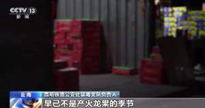 男子反季做火龍果生意實(shí)際為販毒 緝毒警在3箱火龍果中查獲超3公斤冰毒