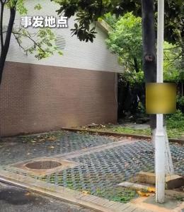 大學副教授被殺害妻子發(fā)聲 家屬不滿判決上訴