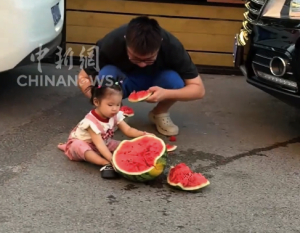 西瓜意外摔碎一家三口就地開吃 網(wǎng)友：無法改變現(xiàn)狀就盡情享受當(dāng)下