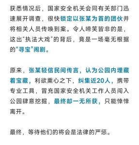近20人假冒国安闯入公园挖地 深夜“寻宝”闹剧