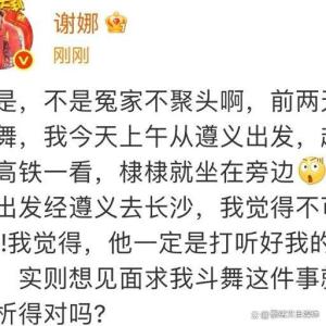 谢娜王鹤棣自拍 高铁偶遇引发热议