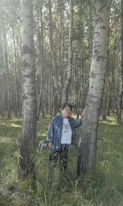 农户响应号召种树 成材后被禁止采伐 二十余载心血付诸东流