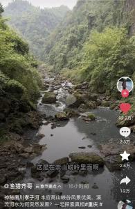 重庆南川通报长江支流孝子河污染 全力排查整治