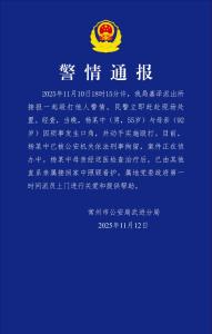 男子暴打92岁母亲被刑拘 家庭纠纷引发悲剧