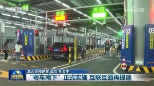 绿牌车组队体验粤车南下 车队畅行香港市区