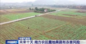 寒潮“拍了拍”南方 露地果蔬面临冻害风险