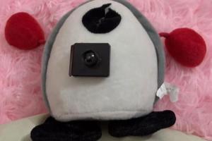 商家回应女子所购玩偶内疑藏摄像头 消费者质疑厂家行为