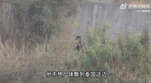 博主摸进妙瓦底诈骗园区，画面曝光！